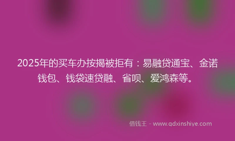 2025年的买车办按揭被拒有：易融贷通宝、金诺钱包、钱袋速贷融、省呗、爱鸿森等。
