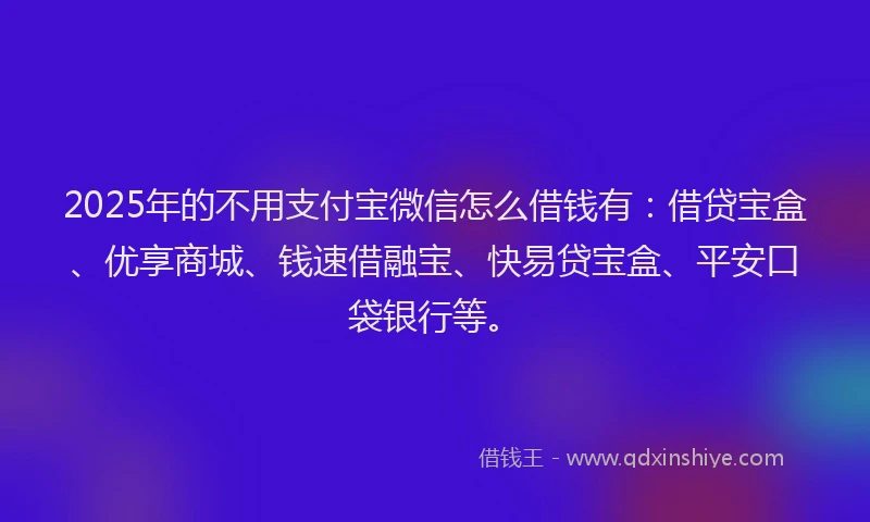 2025年的不用支付宝微信怎么借钱有：借贷宝盒、优享商城、钱速借融宝、快易贷宝盒、平安口袋银行等。
