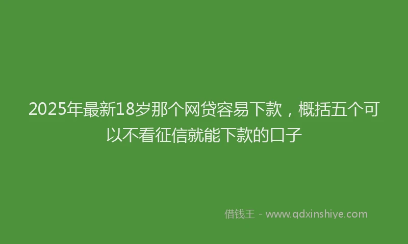 2025年最新18岁那个网贷容易下款，概括五个可以不看征信就能下款的口子