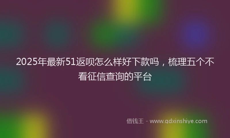 2025年最新51返呗怎么样好下款吗，梳理五个不看征信查询的平台