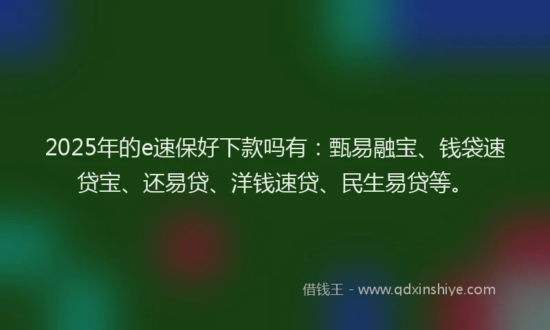 2025年的e速保好下款吗有：甄易融宝、钱袋速贷宝、还易贷、洋钱速贷、民生易贷等。