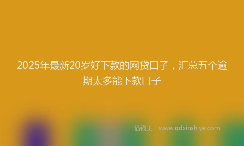 2025年最新20岁好下款的网贷口子，汇总五个逾期太多能下款口子