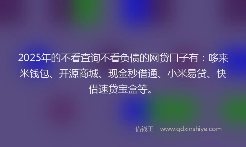 2025年的不看查询不看负债的网贷口子有：哆来米钱包、开源商城、现金秒借通、小米易贷、快借速贷宝盒等。