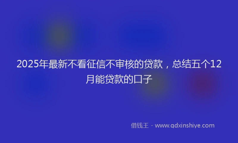 2025年最新不看征信不审核的贷款，总结五个12月能贷款的口子