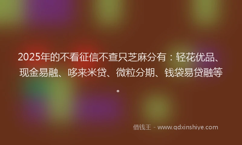 2025年的不看征信不查只芝麻分有：轻花优品、现金易融、哆来米贷、微粒分期、钱袋易贷融等。