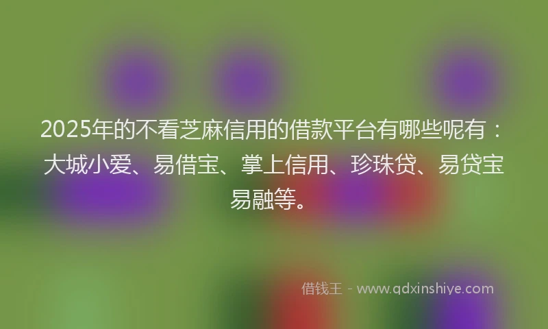 2025年的不看芝麻信用的借款平台有哪些呢有：大城小爱、易借宝、掌上信用、珍珠贷、易贷宝易融等。