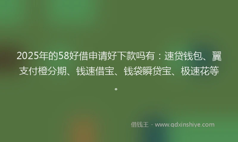 2025年的58好借申请好下款吗有：速贷钱包、翼支付橙分期、钱速借宝、钱袋瞬贷宝、极速花等。