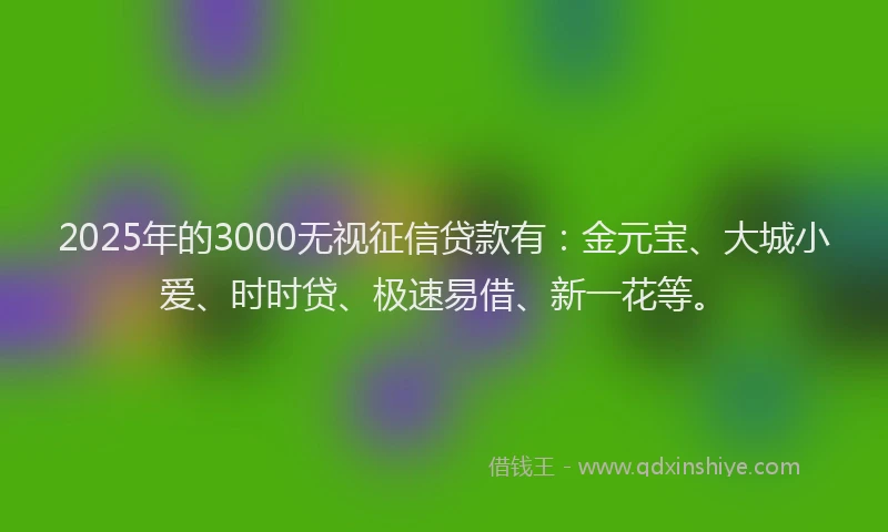 2025年的3000无视征信贷款有：金元宝、大城小爱、时时贷、极速易借、新一花等。