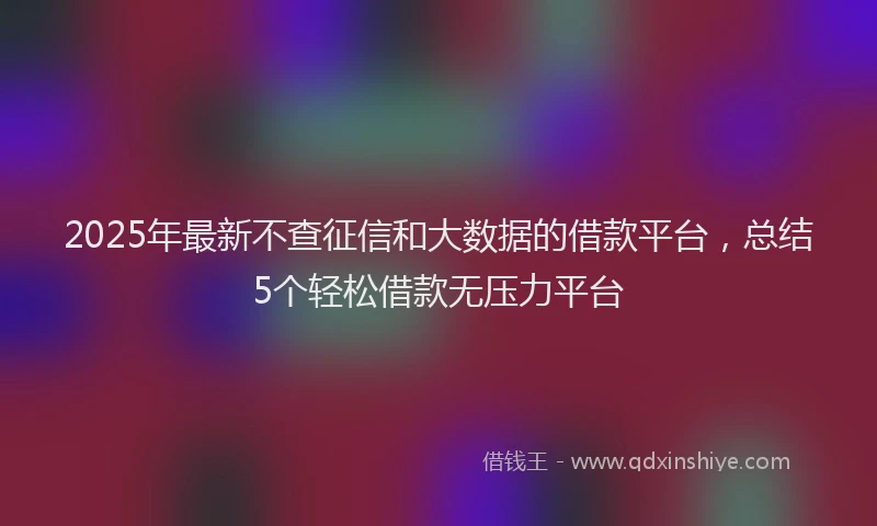 2025年最新不查征信和大数据的借款平台，总结5个轻松借款无压力平台