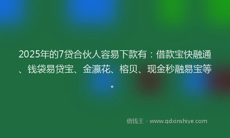 2025年的7贷合伙人容易下款有：借款宝快融通、钱袋易贷宝、金瀛花、榕贝、现金秒融易宝等。