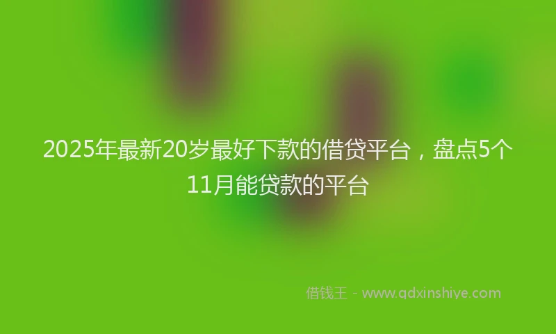 2025年最新20岁最好下款的借贷平台，盘点5个11月能贷款的平台