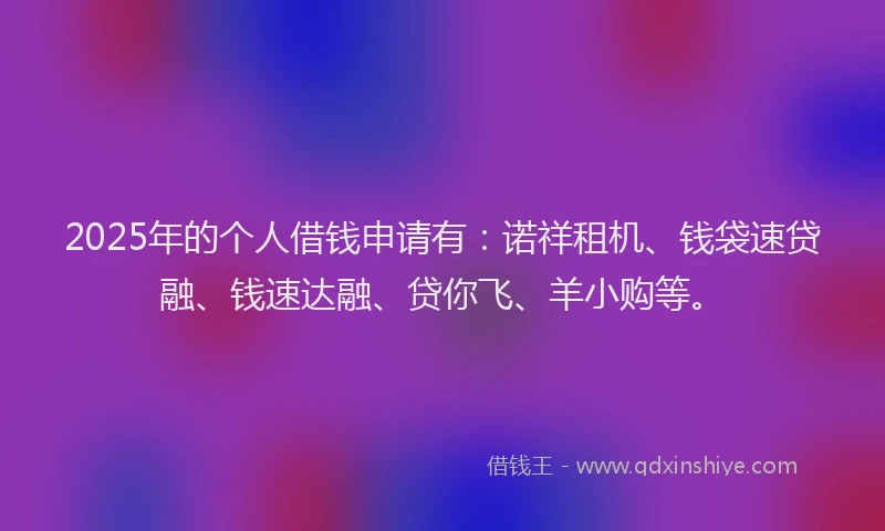 2025年的个人借钱申请有：诺祥租机、钱袋速贷融、钱速达融、贷你飞、羊小购等。