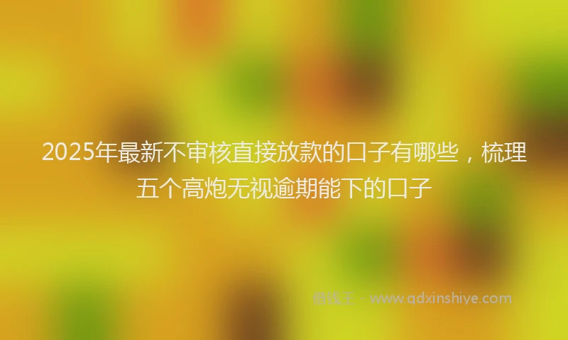 2025年最新不审核直接放款的口子有哪些，梳理五个高炮无视逾期能下的口子