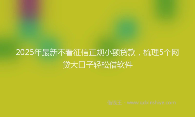 2025年最新不看征信正规小额贷款，梳理5个网贷大口子轻松借软件