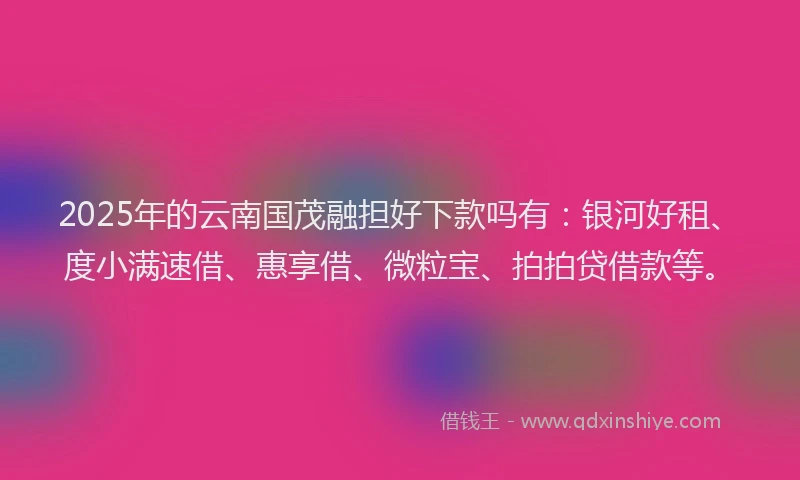 2025年的云南国茂融担好下款吗有：银河好租、度小满速借、惠享借、微粒宝、拍拍贷借款等。