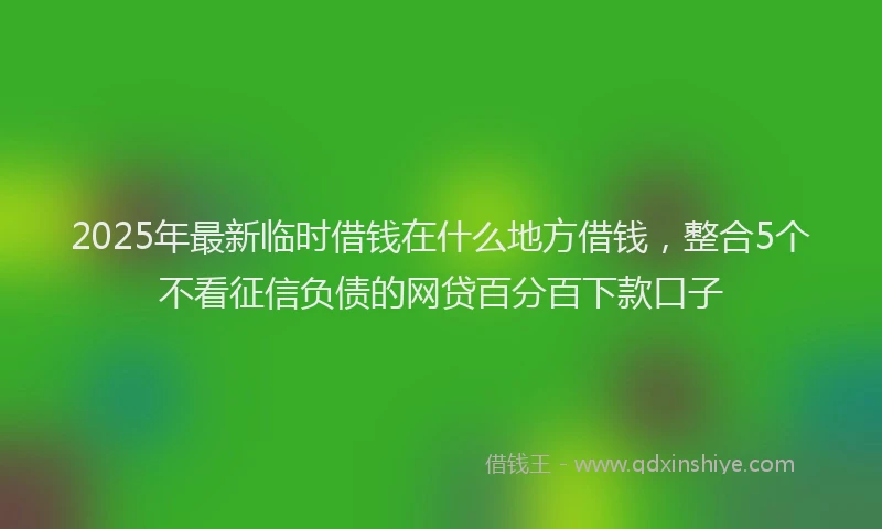 2025年最新临时借钱在什么地方借钱，整合5个不看征信负债的网贷百分百下款口子