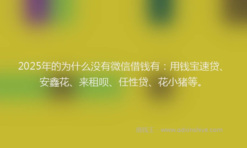 2025年的为什么没有微信借钱有：用钱宝速贷、安鑫花、来租呗、任性贷、花小猪等。