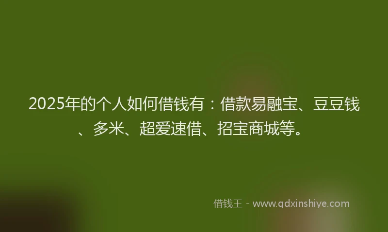 2025年的个人如何借钱有：借款易融宝、豆豆钱、多米、超爱速借、招宝商城等。