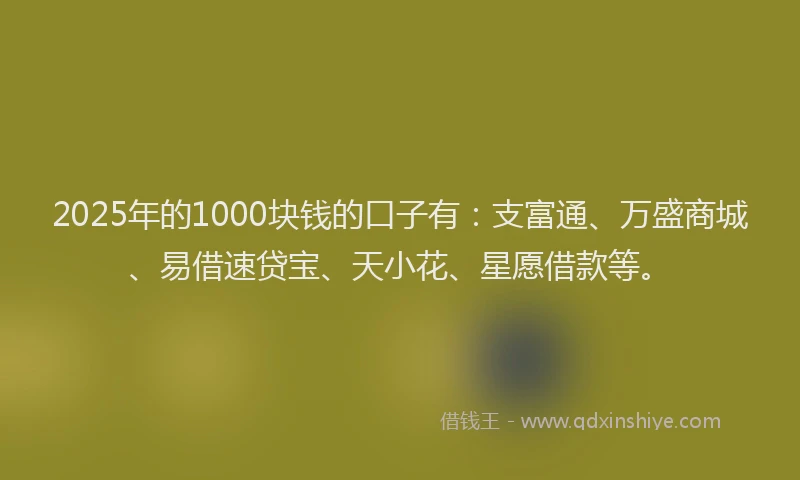 2025年的1000块钱的口子有：支富通、万盛商城、易借速贷宝、天小花、星愿借款等。
