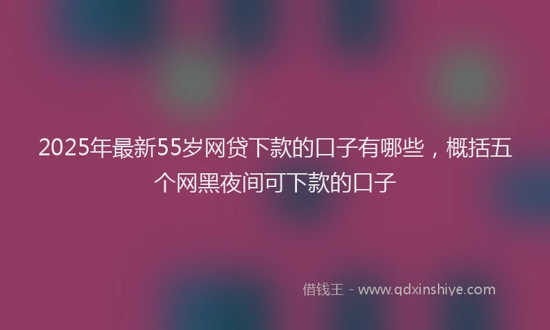 2025年最新55岁网贷下款的口子有哪些，概括五个网黑夜间可下款的口子