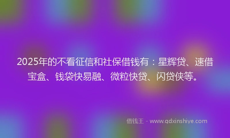 2025年的不看征信和社保借钱有：星辉贷、速借宝盒、钱袋快易融、微粒快贷、闪贷侠等。