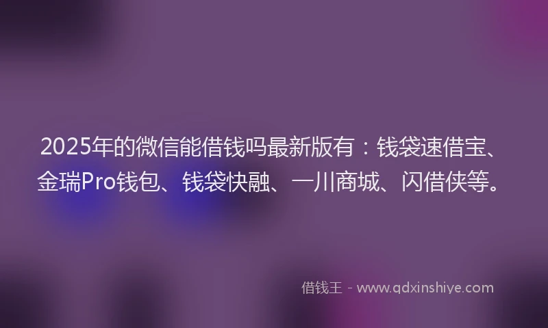 2025年的微信能借钱吗最新版有：钱袋速借宝、金瑞Pro钱包、钱袋快融、一川商城、闪借侠等。