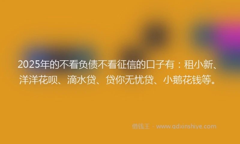 2025年的不看负债不看征信的口子有：租小新、洋洋花呗、滴水贷、贷你无忧贷、小鹅花钱等。
