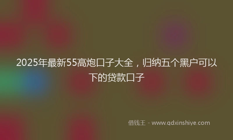 2025年最新55高炮口子大全，归纳五个黑户可以下的贷款口子