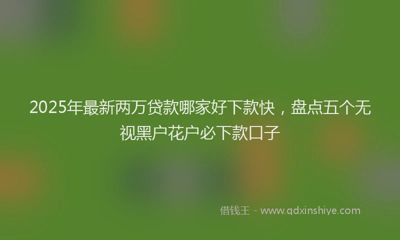 2025年最新两万贷款哪家好下款快，盘点五个无视黑户花户必下款口子