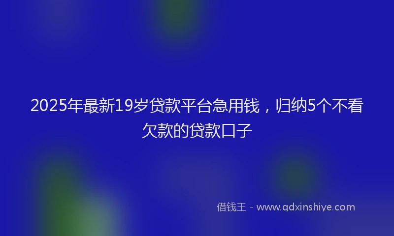 2025年最新19岁贷款平台急用钱，归纳5个不看欠款的贷款口子