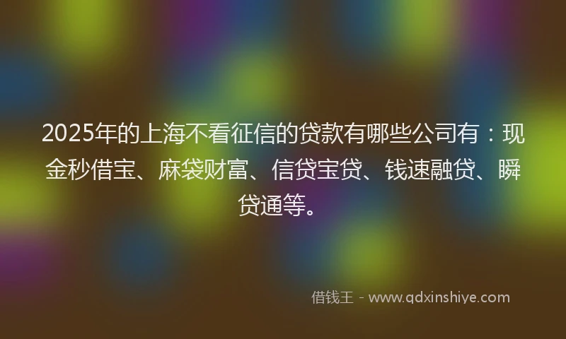 2025年的上海不看征信的贷款有哪些公司有：现金秒借宝、麻袋财富、信贷宝贷、钱速融贷、瞬贷通等。