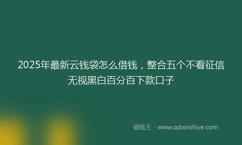 2025年最新云钱袋怎么借钱，整合五个不看征信无视黑白百分百下款口子