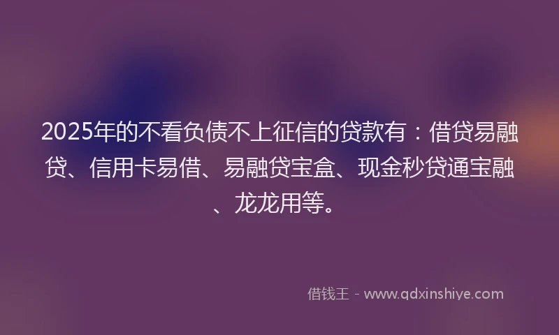 2025年的不看负债不上征信的贷款有：借贷易融贷、信用卡易借、易融贷宝盒、现金秒贷通宝融、龙龙用等。