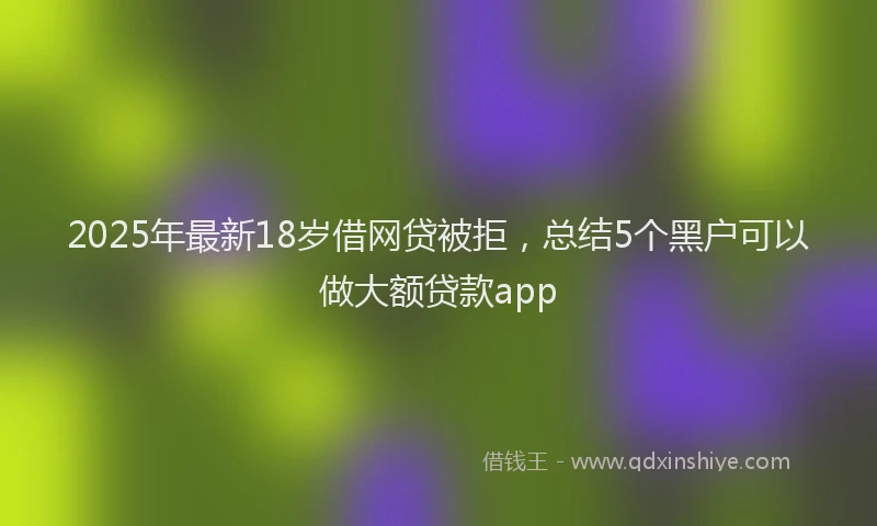 2025年最新18岁借网贷被拒，总结5个黑户可以做大额贷款app