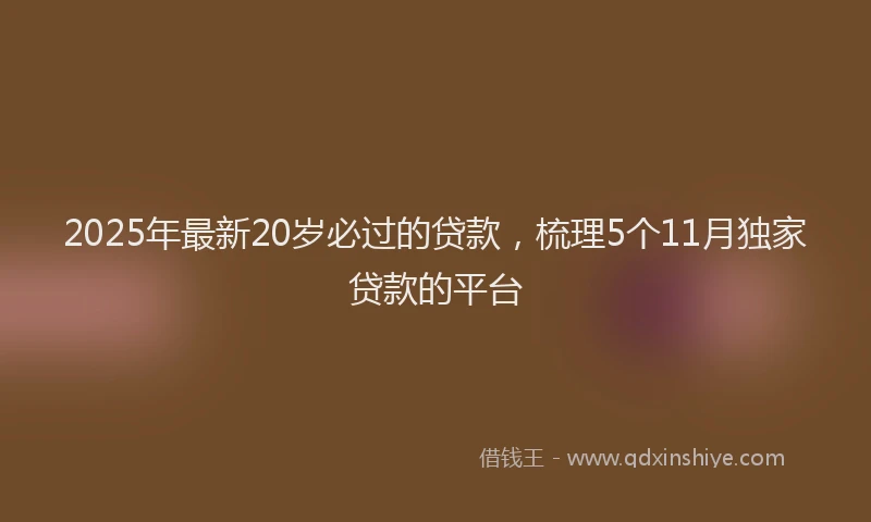 2025年最新20岁必过的贷款，梳理5个11月独家贷款的平台