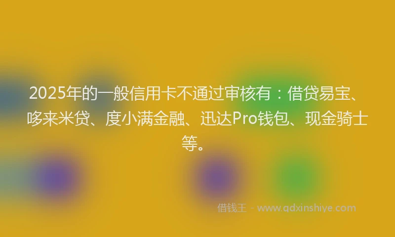 2025年的一般信用卡不通过审核有：借贷易宝、哆来米贷、度小满金融、迅达Pro钱包、现金骑士等。