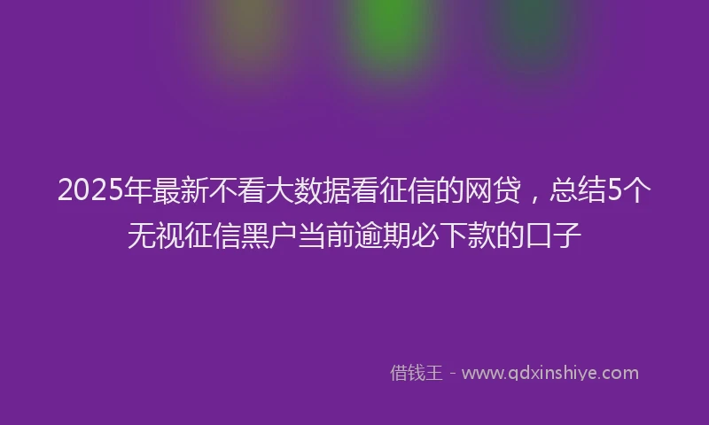 2025年最新不看大数据看征信的网贷，总结5个无视征信黑户当前逾期必下款的口子