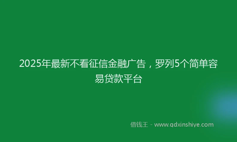 2025年最新不看征信金融广告，罗列5个简单容易贷款平台