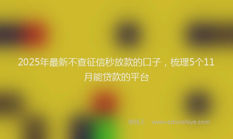 2025年最新不查征信秒放款的口子，梳理5个11月能贷款的平台