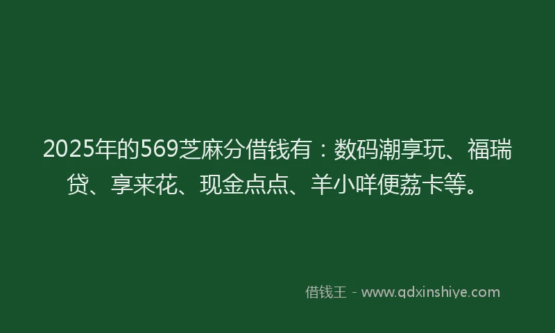 2025年的569芝麻分借钱有：数码潮享玩、福瑞贷、享来花、现金点点、羊小咩便荔卡等。