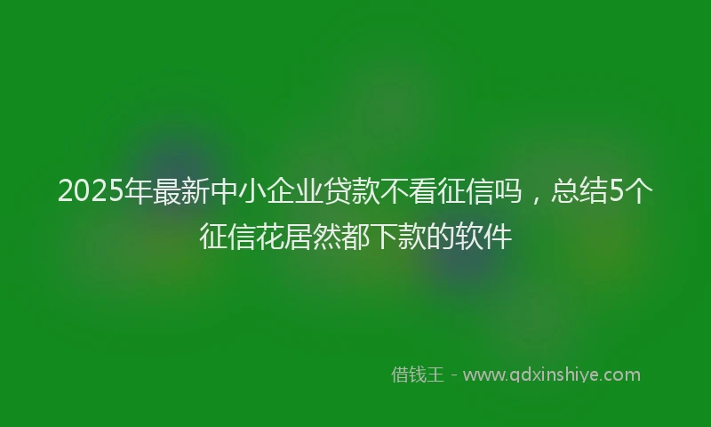 2025年最新中小企业贷款不看征信吗，总结5个征信花居然都下款的软件