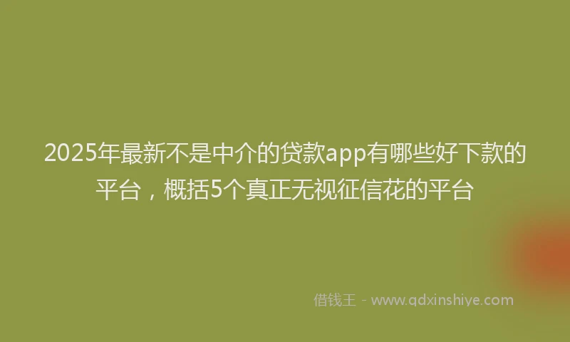 2025年最新不是中介的贷款app有哪些好下款的平台，概括5个真正无视征信花的平台