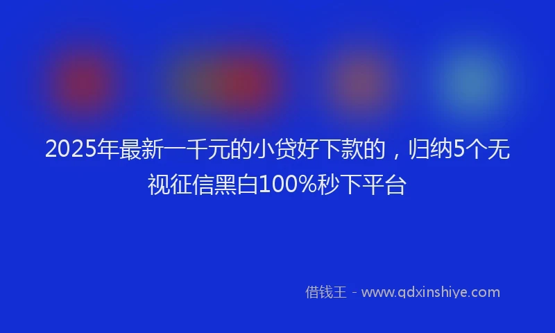 2025年最新一千元的小贷好下款的，归纳5个无视征信黑白100%秒下平台