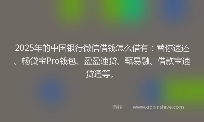 2025年的中国银行微信借钱怎么借有：替你速还、畅贷宝Pro钱包、盈盈速贷、甄易融、借款宝速贷通等。