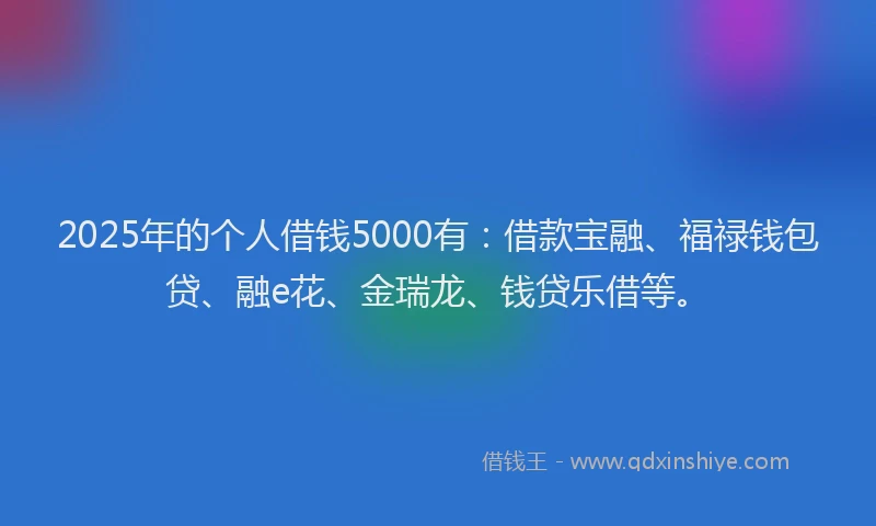 2025年的个人借钱5000有：借款宝融、福禄钱包贷、融e花、金瑞龙、钱贷乐借等。
