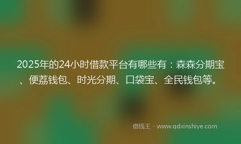 2025年的24小时借款平台有哪些有：森森分期宝、便荔钱包、时光分期、口袋宝、全民钱包等。