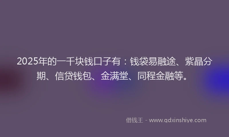 2025年的一千块钱口子有：钱袋易融途、紫晶分期、信贷钱包、金满堂、同程金融等。