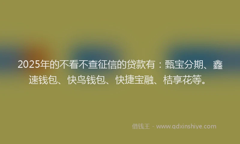 2025年的不看不查征信的贷款有：甄宝分期、鑫速钱包、快鸟钱包、快捷宝融、桔享花等。