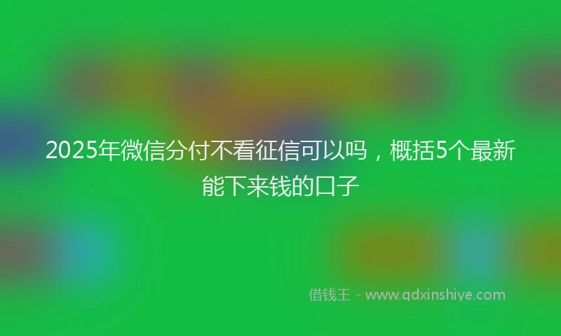 2025年微信分付不看征信可以吗，概括5个最新能下来钱的口子