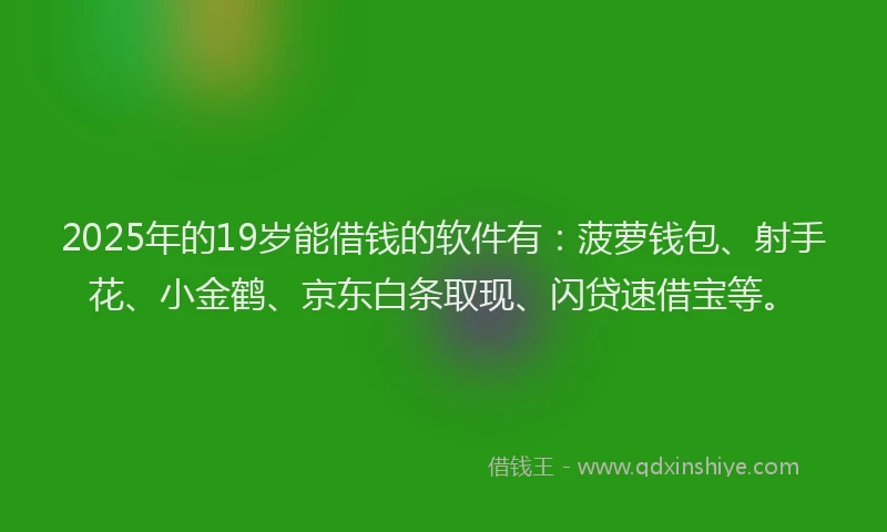 2025年的19岁能借钱的软件有：菠萝钱包、射手花、小金鹤、京东白条取现、闪贷速借宝等。